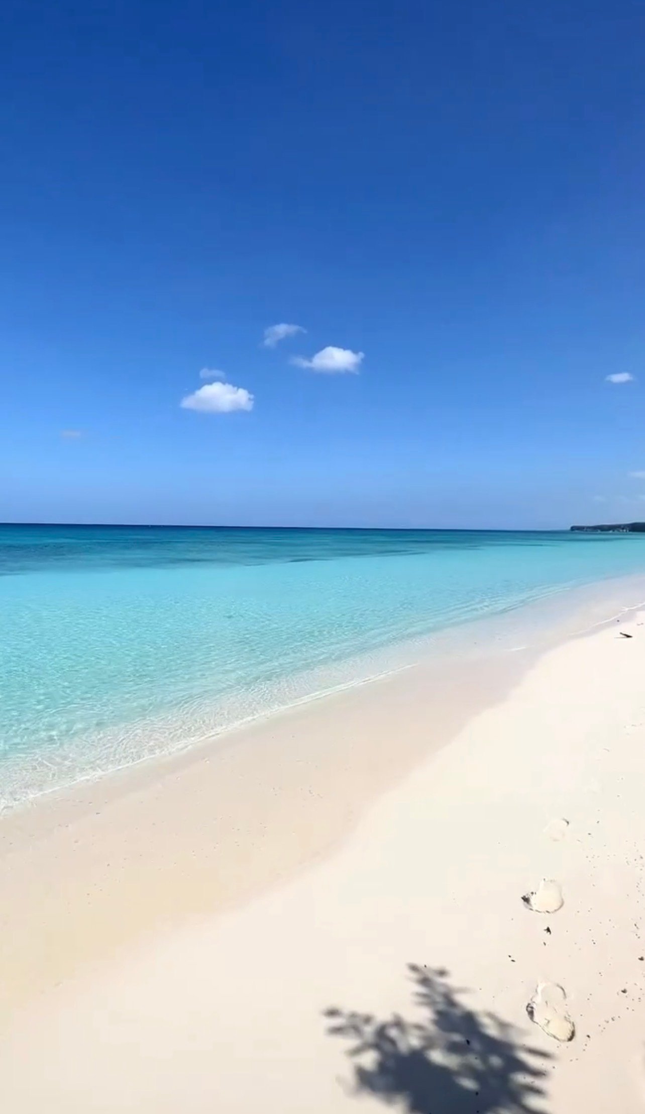 Bahía de las Águilas beach and boat tour