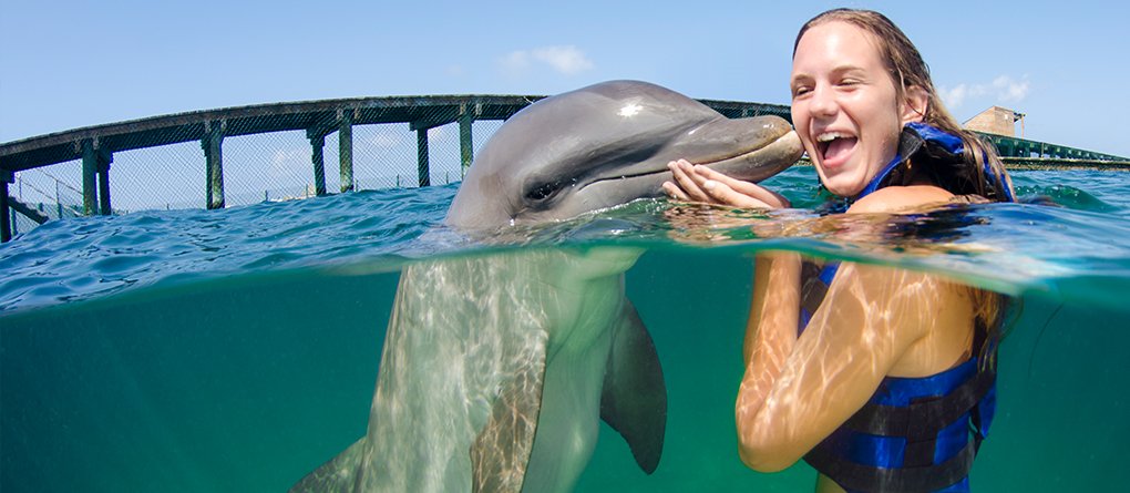 Dolphin encounter in Punta Cana