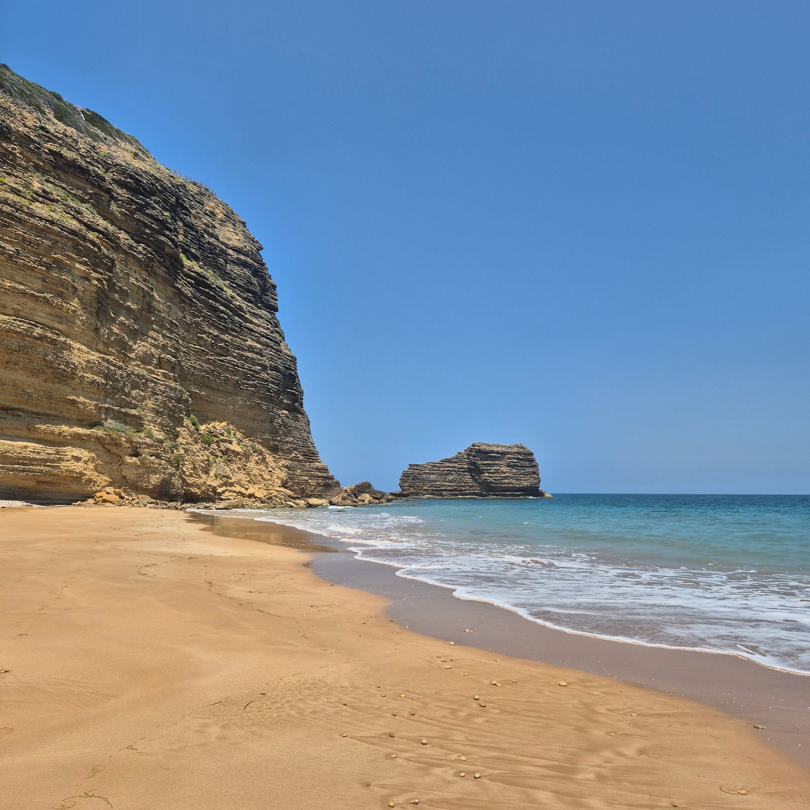 Monte Cristi coastal and mangrove experience
