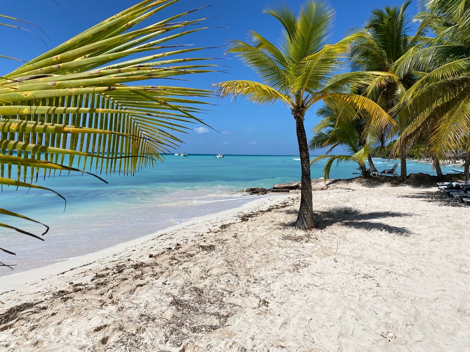 Saona Island photo placeholder 1