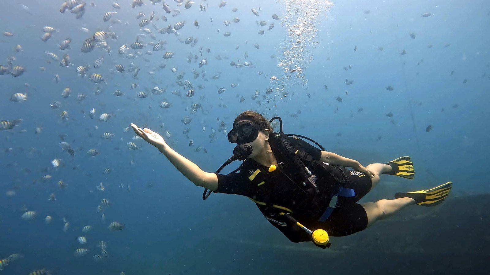 Scuba diving experience in Bayahibe